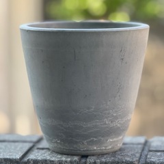 鉢12個セットの画像