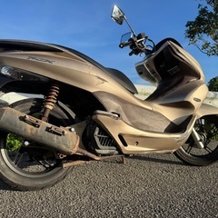pcx28の画像