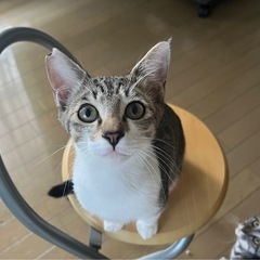人が大好き甘えん坊男子です❤️