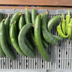 野菜、梨の画像