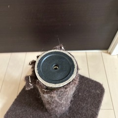 猫ちゃん爪研ぎの画像