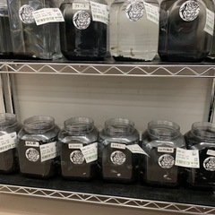 追記　宇部新鮮館厚南店　メダカ　めだかの画像