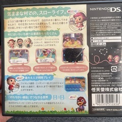 NintendoDSのソフトの画像