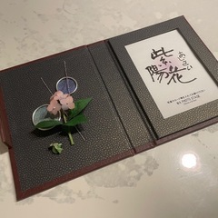 【9/3まで限定】フォトフレーム（手作り）の画像