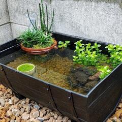 カインズグレインプランター500