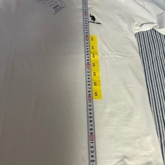 US POLO ASSN. 半袖Tシャツ ホワイト Sサイズ 新品未使用の画像