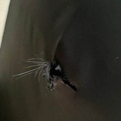 【売約済】定価8万円　NOCE3人掛けソファ　の画像