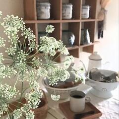 shiturae select コランダー L size ホーロー 琺瑯 ザルの画像