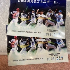 プロ野球クリアファイル　未使用　非売品　２枚セットの画像