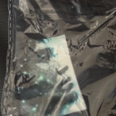 ブルースリーグッズetc
の画像