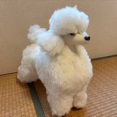 トイプードル型ぬいぐるみの画像