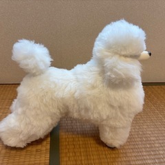 トイプードル型ぬいぐるみの画像