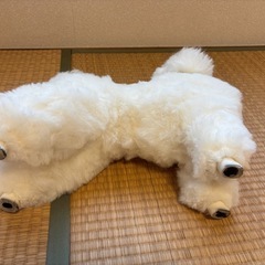 トイプードル型ぬいぐるみの画像