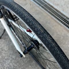 0014 CYLVA（シルヴァ）F24 BRIDGESTONE  の画像