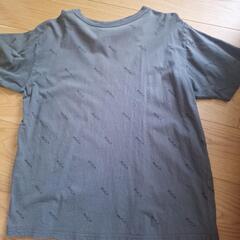 Tシャツ3枚セットの画像