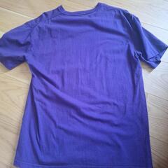 Tシャツ3枚セットの画像