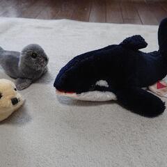 ぬいぐるみたちの画像