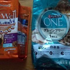 猫ごはんの画像