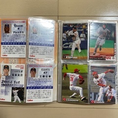 プロ野球チップス2004 第3弾 カードホルダー(カード約60枚入り) の画像