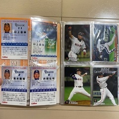 プロ野球チップス2004 第3弾 カードホルダー(カード約60枚入り) の画像