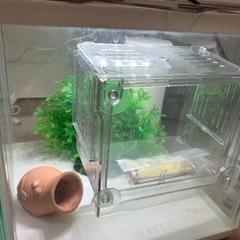 【お取引相手決まりました】アクアリウム水槽セットの画像