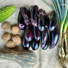 野菜セットの画像