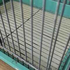 鳥かご　中古の画像