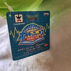 ポケモン　シェイミの画像
