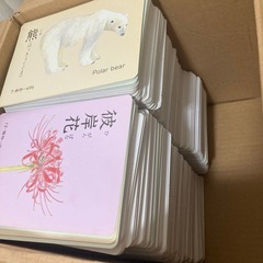 家庭保育園　絵カード1500枚の画像