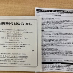 ◎非売品 コカコーラ ハッピーサマーキャンペーン当選品 ハッピーサマー缶ビーチサンダル
の画像