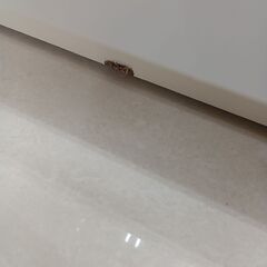 ★リユースのサカイ日立店★HJ7589  レンジボード ホワイト H180×D40×W90 クリーニング済み の画像