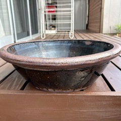 メダカ用
の画像