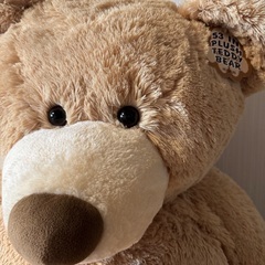 クマのぬいぐるみ 約134cm Plush Sitting Bear 53"の画像