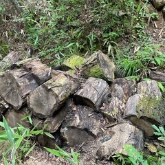 薪その2の画像