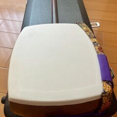 【美品】三味線 ハードケース付きの画像