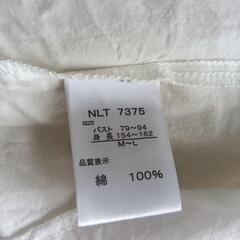 レディース白シャツの画像