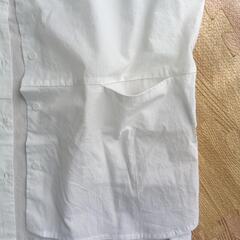 レディース白シャツの画像