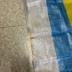 レジャーシートの画像