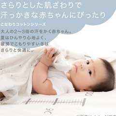 ニトリ　冷感スタイ3枚セットの画像
