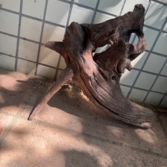 ①アクアリウム流木 大きめの画像