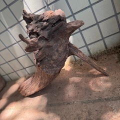 ①アクアリウム流木 大きめの画像