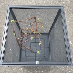GEX　ジェックス　EXOTERRA　エキゾテラ　爬虫類ケージ　飼育ケージ　スクリーンテラリウム　5面メッシュ　照明付属　現状品　中古　③の画像