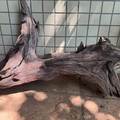 ③アクアリウム流木 大きめの画像