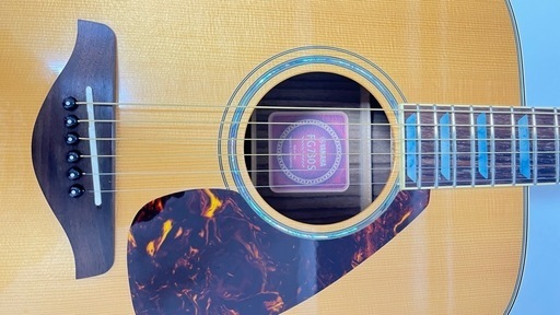 YAMAHA FG730S