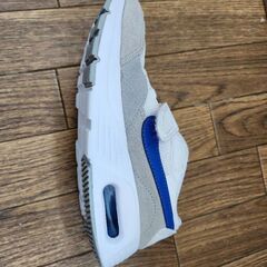 NIKEエアマックスSC キッズ21cmの画像