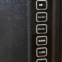 ドンキ 4K 50型テレビの画像
