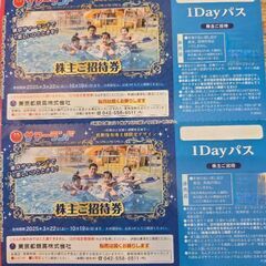 東京サマーランド1DAYパスの画像