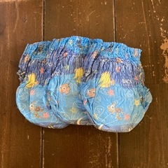 水遊びパンツの画像