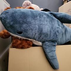 ぬいぐるみの画像