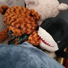 ぬいぐるみの画像